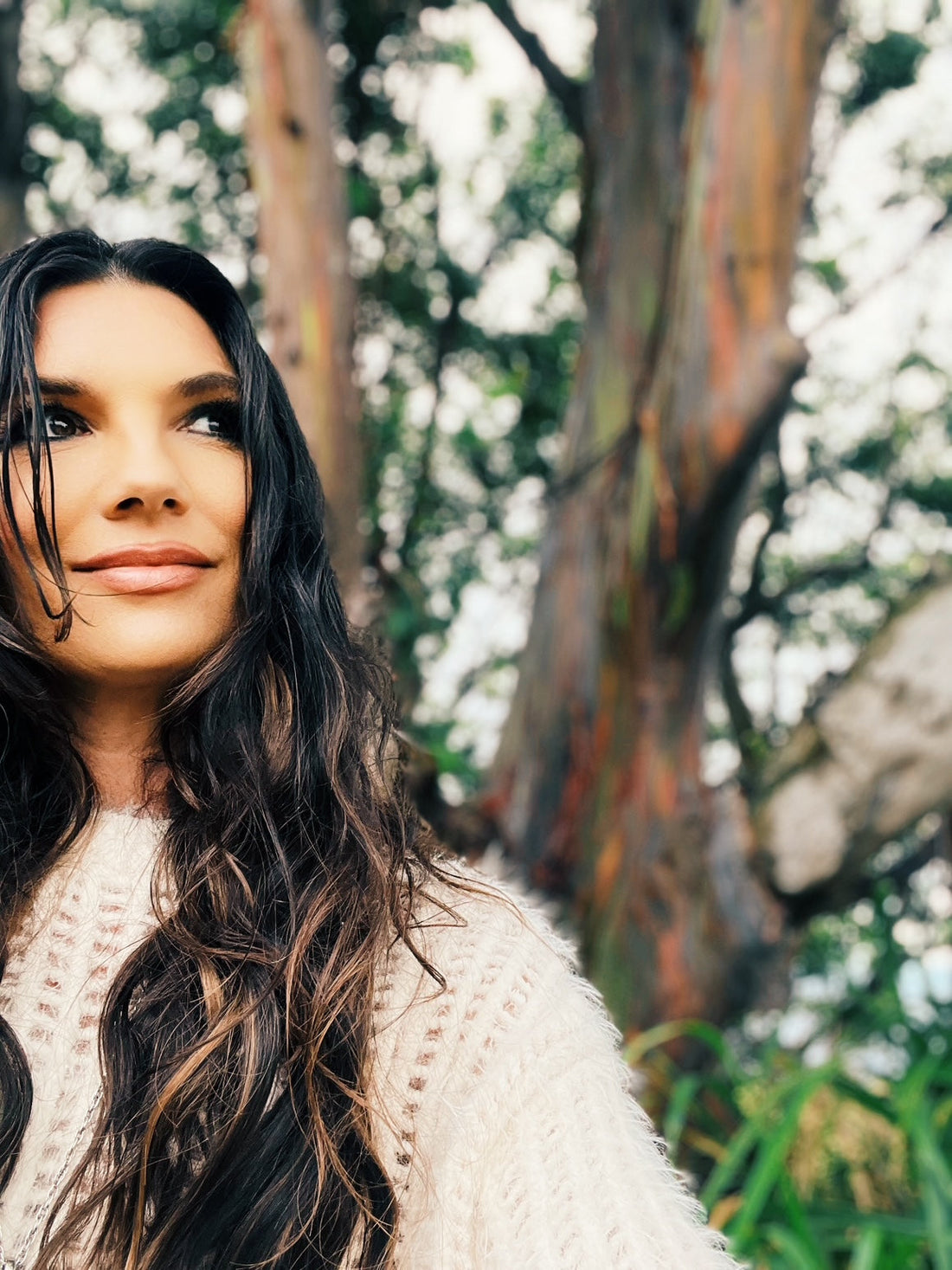 The Rainbow Eucalyptus Tree