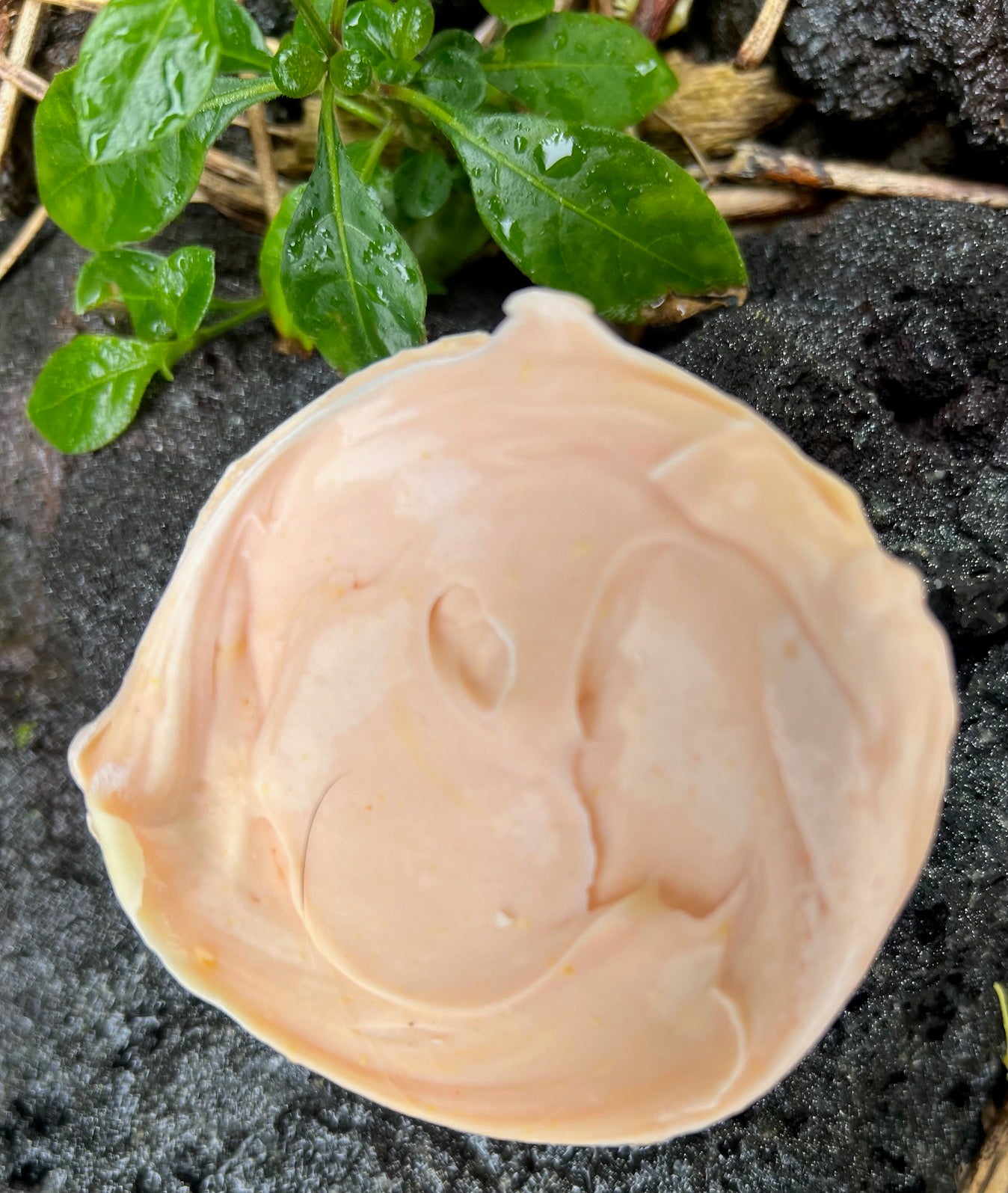 Shampoo Swirl Bar Island Nectar